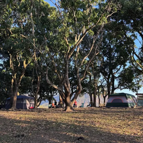 Acampamento Tekoá visto de cima, com barracas entre as árvores